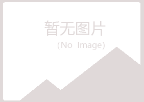 河池从蓉工程有限公司